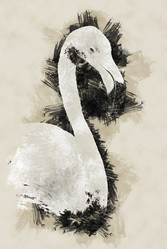 Similar image 13134430