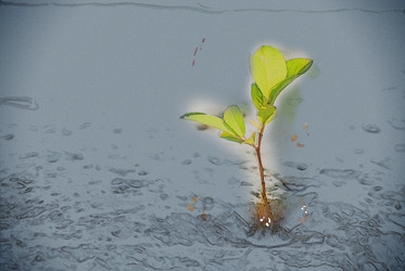 Similar image 13134450