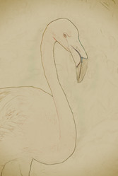 Similar image 13134468