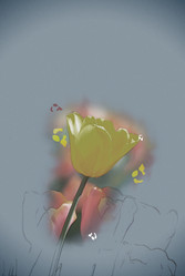 Similar image 13134687