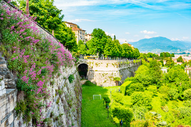 Similar image 13133916