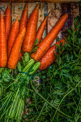 Similar image 13134057