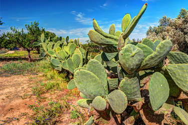 Similar image 13134113