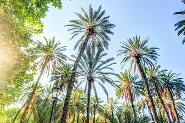 Similar image 13134176