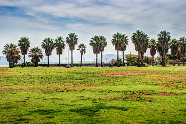 Similar image 13134192