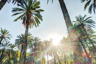 Similar image 13134194