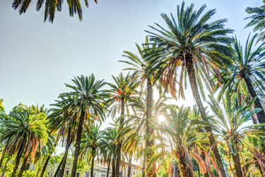 Similar image 13134235