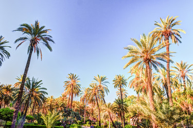 Similar image 13134256