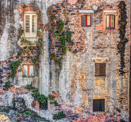 Similar image 13134273