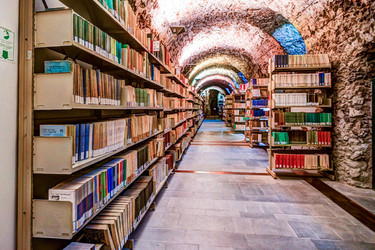 Similar image 13134312