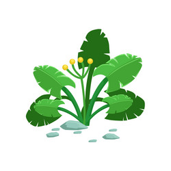 Similar image 13144108