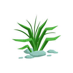 Similar image 13144327