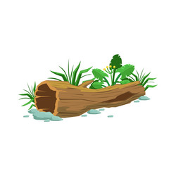 Similar image 13144207