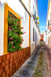 Similar image 13133961