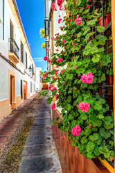 Similar image 13133981