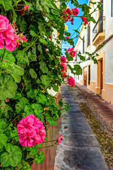 Similar image 13134002