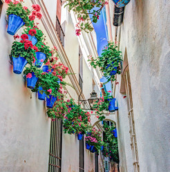 Similar image 13134116