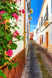 Similar image 13134178