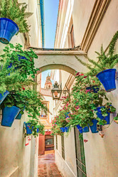 Similar image 13134197