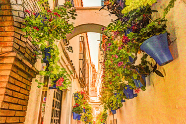 Similar image 13134216