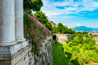 Similar image 13135474