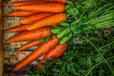 Similar image 13136411