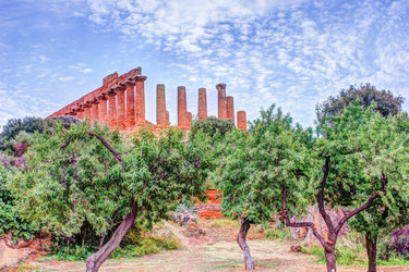 Similar image 13136625