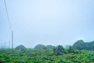 Similar image 13136875