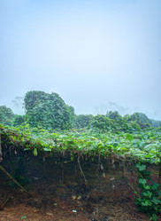 Similar image 13136892