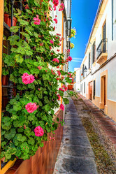 Similar image 13135693