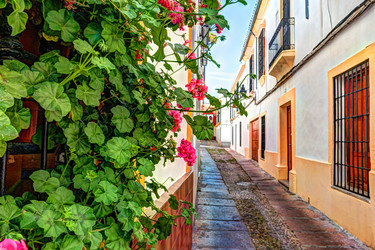 Similar image 13135722