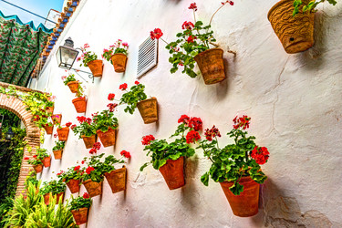 Similar image 13135798