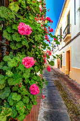 Similar image 13135799