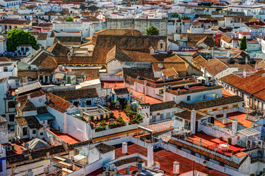 Similar image 13135874