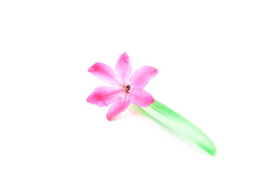 Similar image 13137318