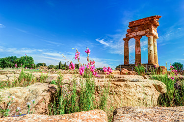 Similar image 13135822