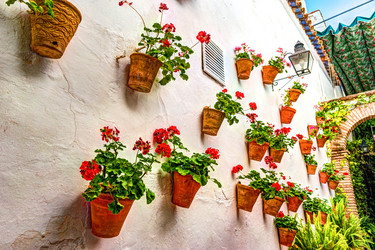 Similar image 13136096