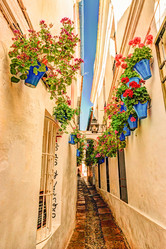 Similar image 13136134