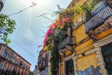 Similar image 13136836