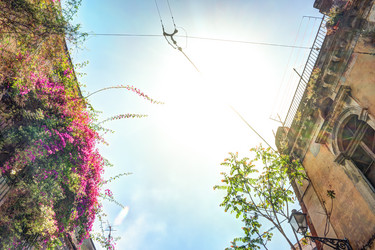 Similar image 13136837