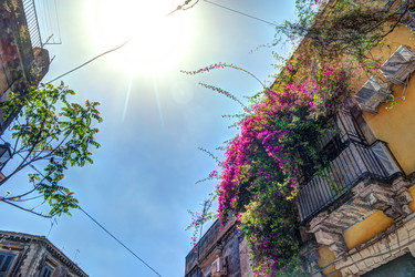 Similar image 13135877