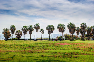 Similar image 13136024