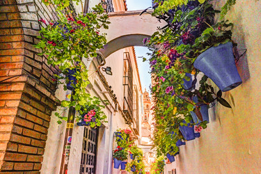 Similar image 13136800