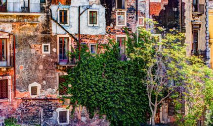 Similar image 13136821