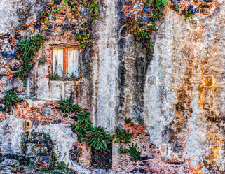 Similar image 13136989