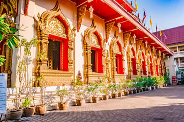 Similar image 13136331