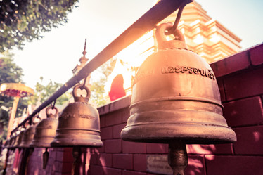 Similar image 13136524