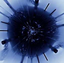 Similar image 13135919