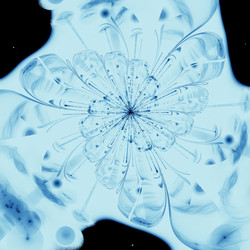 Similar image 13135952