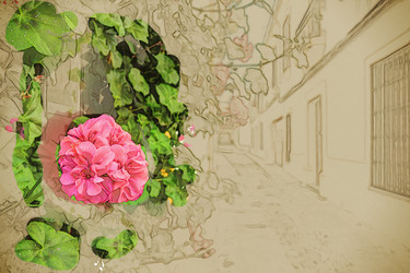 Similar image 13137032